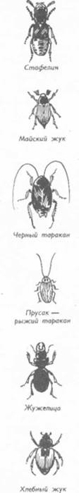 Рыболовные насадки